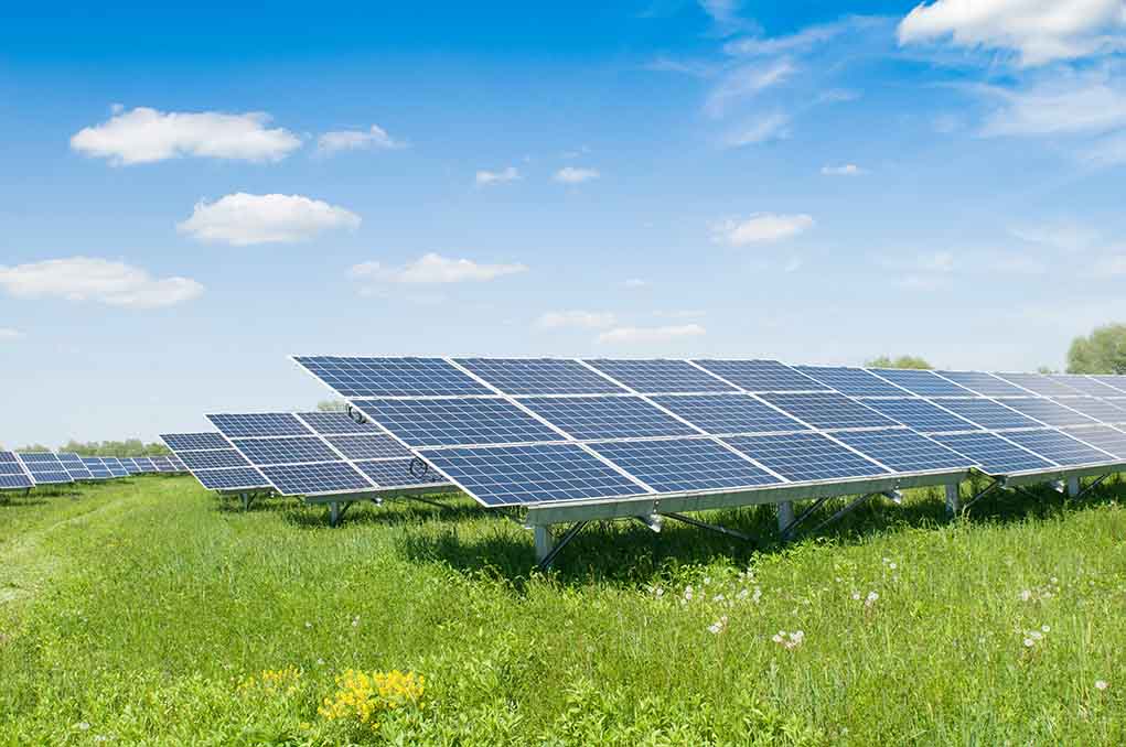 1909802176. featured image Solar panels in a grassy field under blue sky