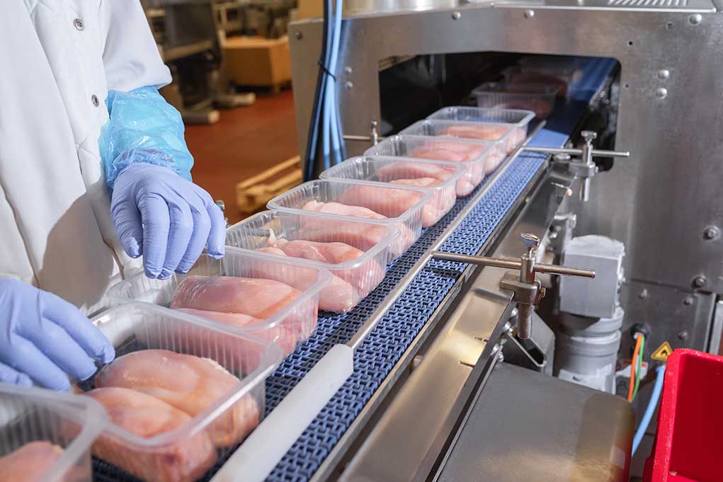Packaged chicken breasts on a factory conveyor belt