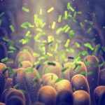 Addiction Mystery: Is Your Gut To Blame? bacteria