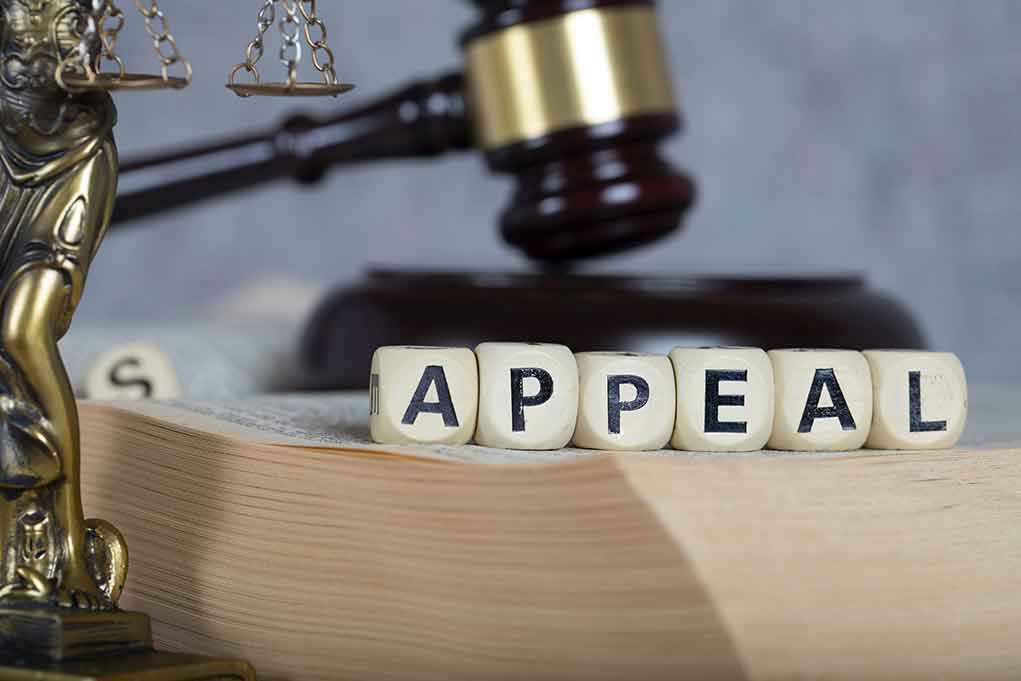 Blocks spelling appeal with gavel and balance scales