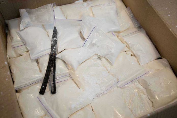 1530825116 Bags of white powder with scissors in cardboard box