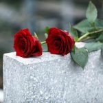 Veteran TRAPPED in Freezer — Investigation LAUNCHED Red roses on a gray stone surface