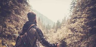 A hiker standing in a forest, looking at a scenic view of mountains and trees
