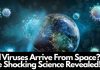 Did Viruses Arrive From Space The Shocking Science