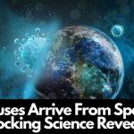 Did Viruses Arrive From Space The Shocking Science