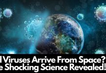 Did Viruses Arrive From Space The Shocking Science