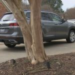 Republican candidate accused of orchestrating shootings