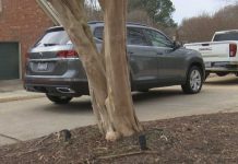 Republican’s Home AMBUSHED Republican candidate accused of orchestrating shootings