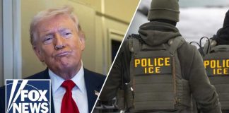 ICE Takeover Threat Shocks Airport Security