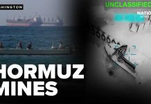 Trump UNLEASHES Devastating Strike on Iranian Fleet