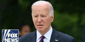 Naturalized Killer Shock Stuns DHS