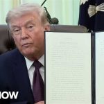 Trump SEIZES Mail Voting — States Revolt IMMEDIATELY