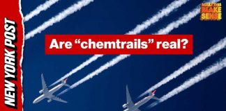 Government Spraying Toxic Ash Florida Takes Action