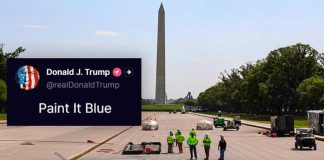 Trump Is Trolling The Left