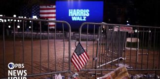 Democratic strategist breaks down DNC's 2024 election autopsy