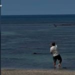 Entitled Tourist’s Rock Toss Sparks Outrage Federal criminal probe launched after man throws rock at endangered monk seal on Maui