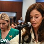 Epstein Files: DOJ’s Massive Cover-Up? 'What we've seen is despicable': Dems hold 'shadow' hearing with Epstein survivors that GOP won't