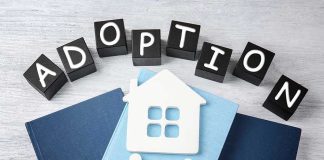 Christian Adoption Agency Draws Line — Backlash Erupts Adoption blocks, books, house, and family paper cutouts.