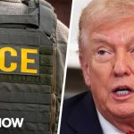 Trump-Appointed Judges Under Fire After Terror Win ICE protesters sentenced to up to 100 years in prison by Trump-appointed judge