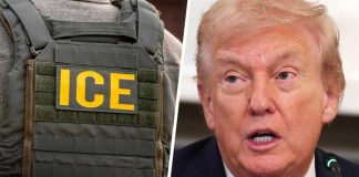 ICE protesters sentenced to up to 100 years in prison by Trump-appointed judge