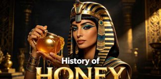 History of Honey — The Golden Liquid That Ruled Civilizations