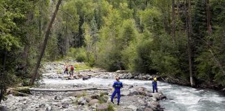 River Horror: Five Dive, None Return Rescue workers in helmets standing along a fast-flowing forest river