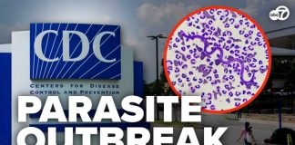 Parasite Bomb Hits 45 States CDC warns of cyclosporiasis parasite outbreak spreading across US