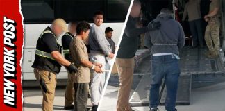 Over 10,000 Detained by ICE in Five Days as Deportation Crackdown Escalates