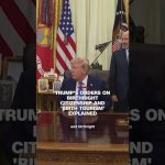 Trump’s orders on birthright citizenship and ‘birth tourism’ explained