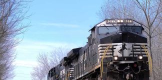 Freight train locomotive on a wooded track