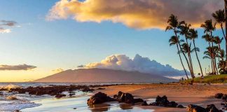 Tropical beach at sunset with palm trees and rocky shoreline