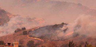 Wildfire burns on hillside near suburban homes