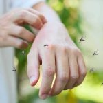DEADLY Mosquito Swarms Take Over City hand being bitten by mosquitoes outdoors