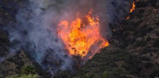 Man Charged With ARSON in 1,000-Acre Wildfire Wildfire burning on a hillside near homes