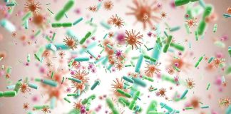 Murdaugh Wants Key DNA Evidence THROWN Out Colorful microscopic bacteria and viruses floating in space
