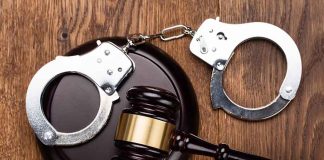 Lauren Handy Sentenced to Over Four Years in Prison