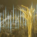 Ukraine Continues Grain Exports Amid Russian Hostilities