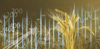 Ukraine Continues Grain Exports Amid Russian Hostilities