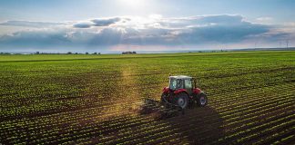 Maryland Farming