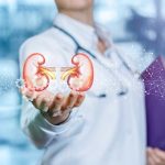 Kidney