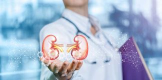 Kidney