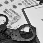 Aftermath of Pinellas Hurricanes Spurs Controversy: Arrests and Immigration Issues