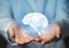 Hands holding a holographic brain visualization