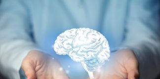 Hands holding a holographic brain visualization