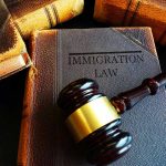 Gavel resting on Immigration Law book stack
