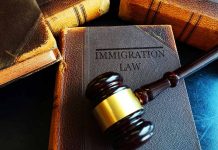Gavel resting on Immigration Law book stack