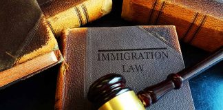 Gavel resting on Immigration Law book stack