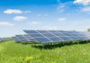 Solar panels in a grassy field under blue sky