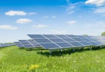 Solar panels in a grassy field under blue sky