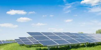 Solar panels in a grassy field under blue sky